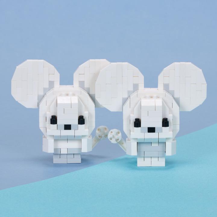 Produktbild Pokémon Nanoblock Salamence