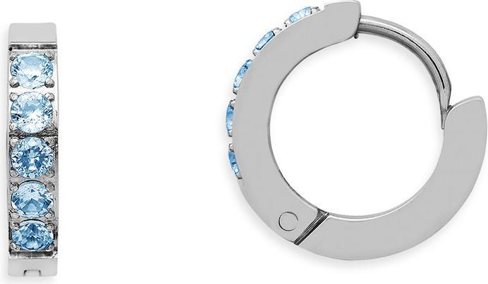 Xenox Classic in Steel Ohrringe (Edelstahl)