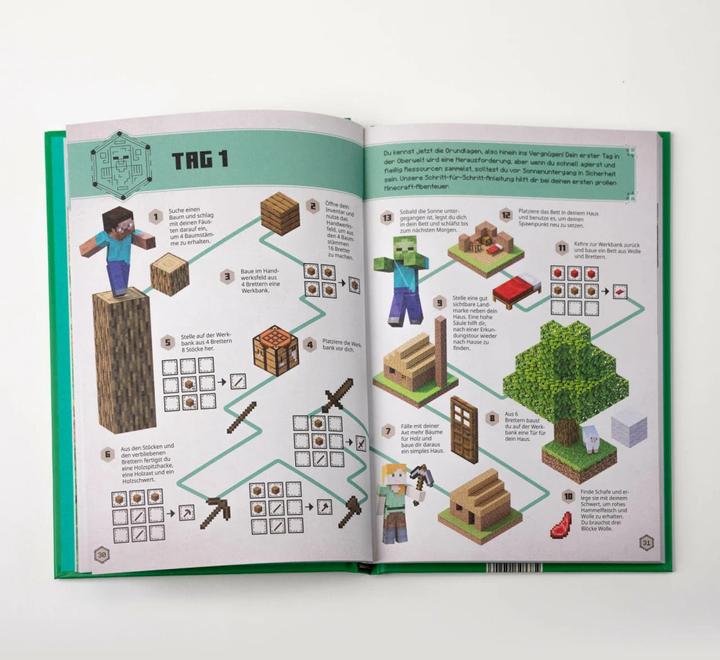 Actual product image Minecraft - Das Survival-Handbuch (German, Matthias Wissnet, Josef Shanel, Minecraft, 2022)