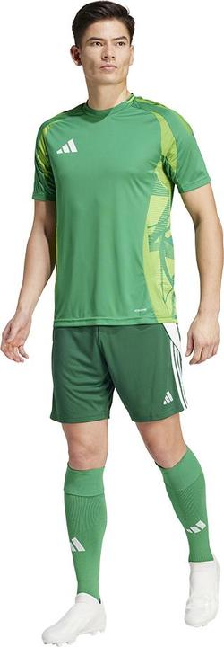Actual product image adidas TIRO24 SHORT (XL)