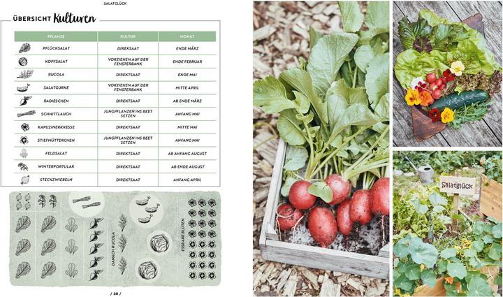 Actual product image Mit dem Hochbeet durchs Jahr (German, The City Gardeners, 2020)