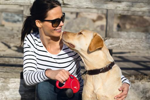Immagine prodotto Flexi Nuova cintura classica (L, Cane, Passeggiare, Generale)