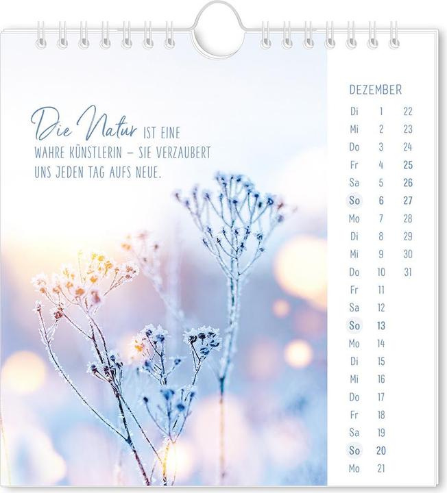 Image du produit Postkartenkalender 2026 Lichtblicke (16 x 17 cm, Couverture rigide, Allemand)
