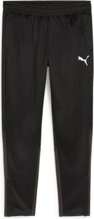 Puma teamGOAL Training Pant