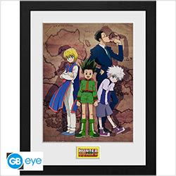 Actual product image GB Eye Hunter X Hunter Framed Print : Key Art Map