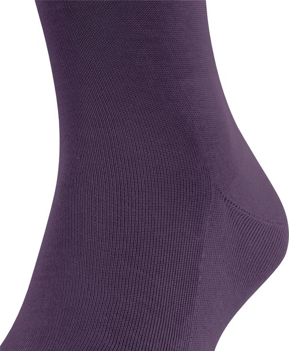Image du produit Falke Tiago (Lot de 3) Chaussettes hauteur genou, couleur 8860 wine berry, taille 45-46 (Une unité par pack, 45 - 46)