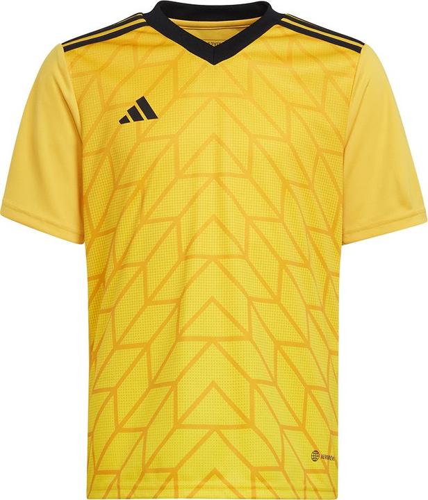 Image du produit adidas Team Icon 23 Maillot (176)