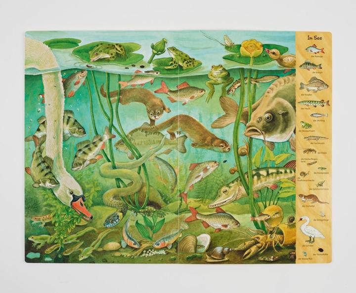Image du produit Das Riesen-Natur-Wimmelbuch (Allemand, Christine Henkel, 2018)