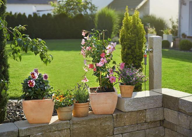 Image du produit Gardena Système de micro-goutte (Kit d'irrigation goutte à goutte)