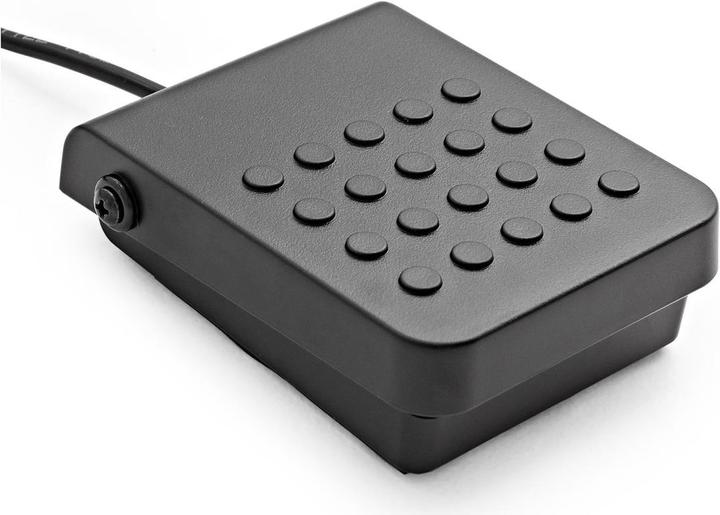 Immagine prodotto Casio CDP-S100
