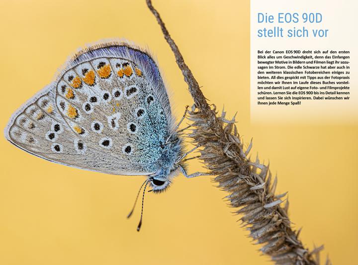Image du produit Canon EOS 90D (Allemand, Christian Bildner, Kyra Singer, Christian Singer, 2019)