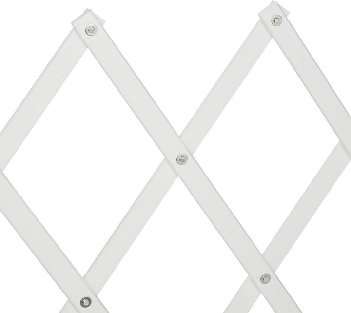 Image du produit Relaxdays Barrière pour chiens (3 cm)