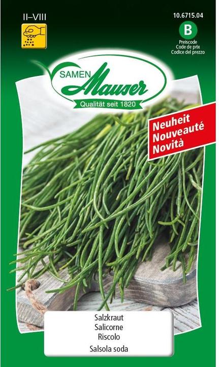 Produktbild Samen Mauser Salzkraut (Gemüsesamen)