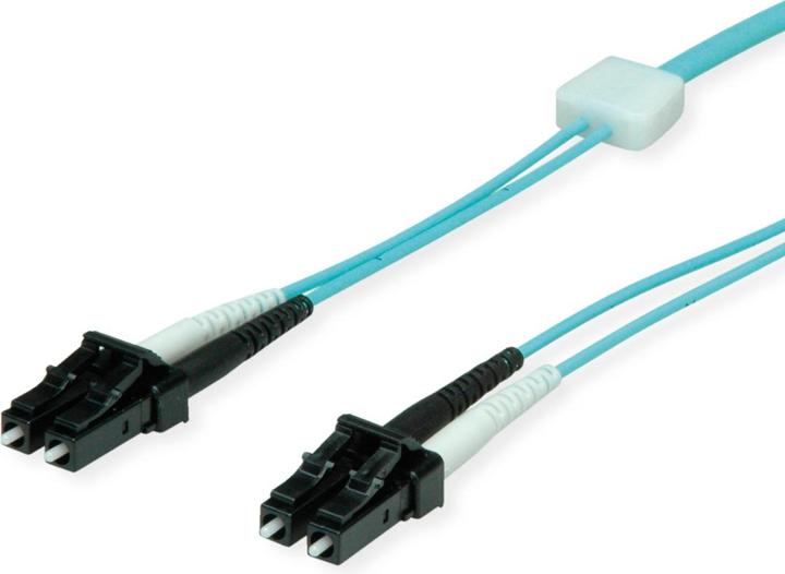 Sacon Fiber optic cable (UTP, CAT6, 10 m)