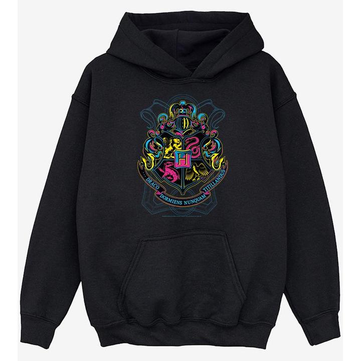 Produktbild Hogwarts Wappen BaumwollKapuzenpulli Mädchen (116)