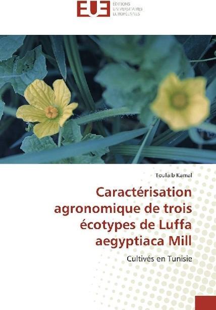 Produktbild Caractérisation agronomique de trois écotypes de Luffa aegyptiaca Mill (Toulaib Kamal, 2017)