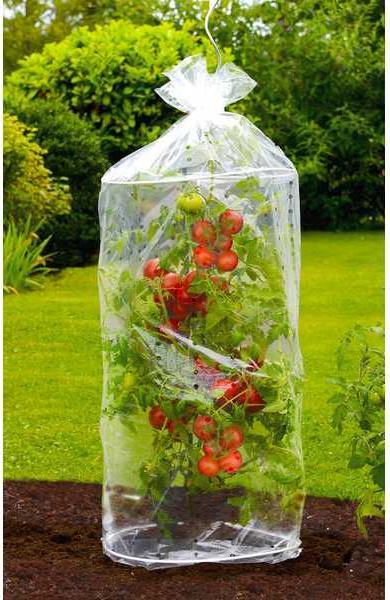 Produktbild Wenko Tomaten-Hauben