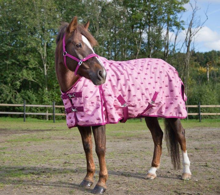 Produktbild Horze Regendecke Pony (115 cm)