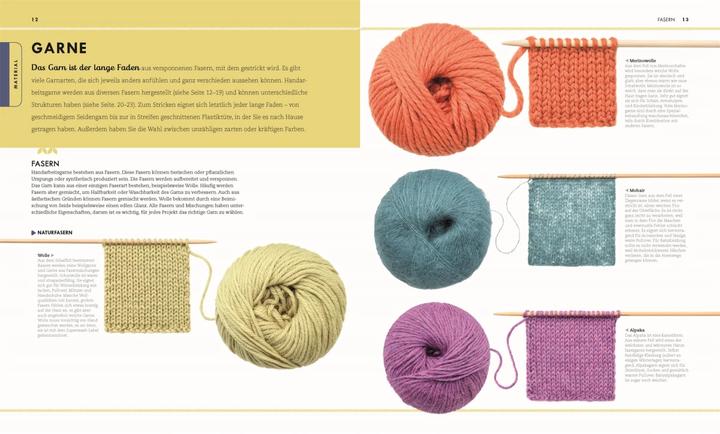 Image du produit Die neue Strickschule (Allemand, Lagunes de Vikki, Frederica Patmore, 2019)