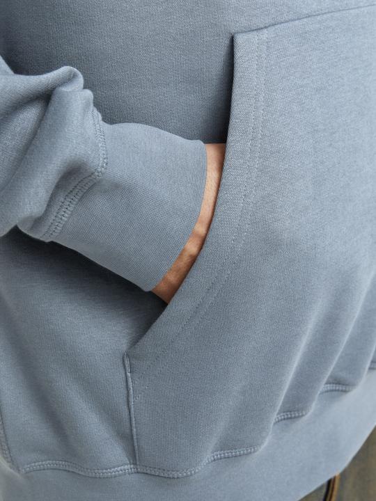 Image du produit Jack & Jones Jorroxbury Back Sweat Hood Ln (M)