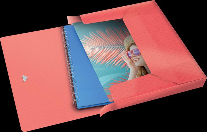 Actual product image Esselte Colour'Breeze (A4, 1 x)