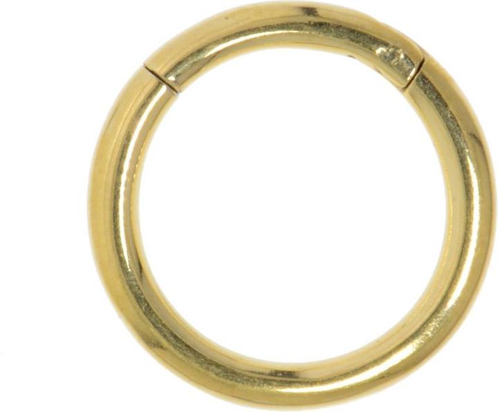Immagine prodotto Bijouteria Piercing per naso (Acciaio chirurgico 316L, Rivestimento in PVD (colore oro))