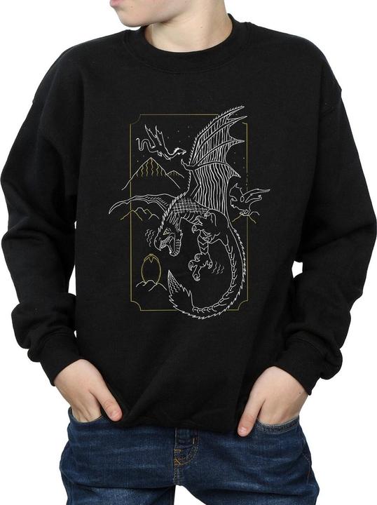 Produktbild Dragon Line Art Sweatshirt Jungen (140, 146)