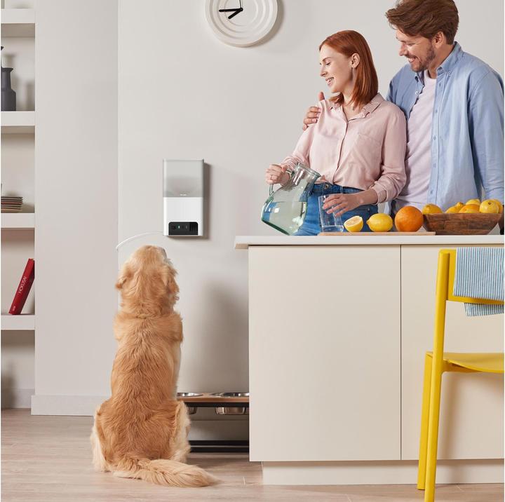 Image du produit Petcube Caméra pour animaux domestiques avec distribution de friandises (1 l)