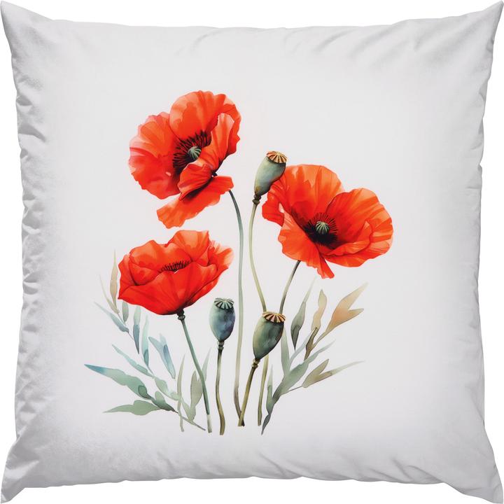 Blanc-Rouge