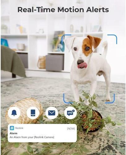 Image du produit Reolink CAREolink E1-V2, 3MP, 1080p Full HD (2304 x 1296 Pixels)