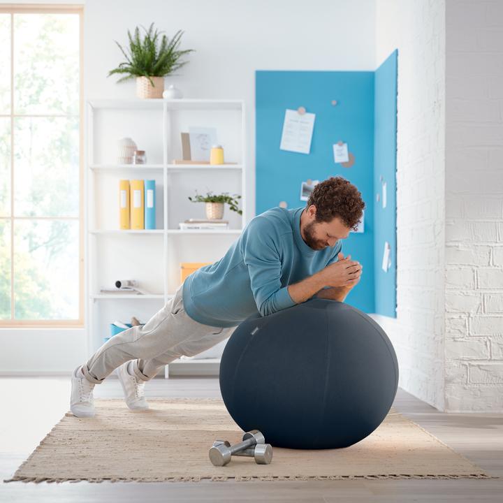 Image du produit Leitz Sitting Ball Ergo Cosy (65 cm)