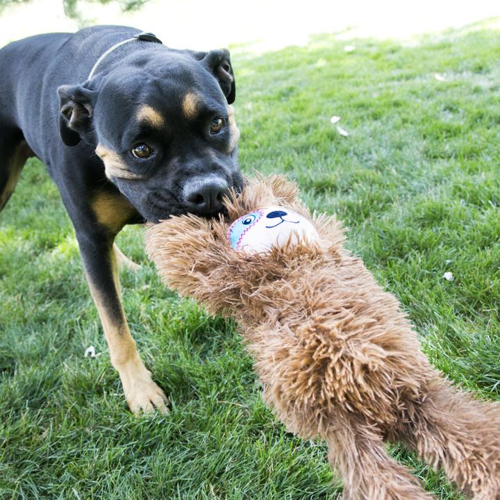 Produktbild KONG Tuggz Sloth (Plüschspielzeug Hund)
