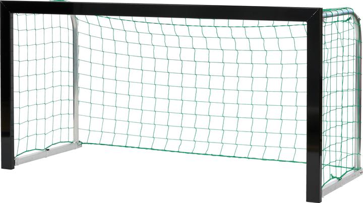 Sport-Thieme Mini-Fussballtor Young Players