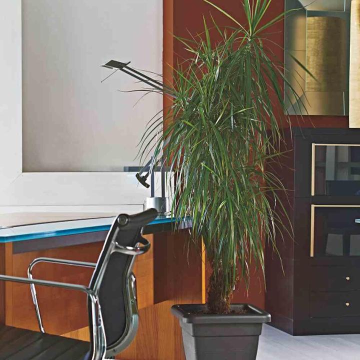 Actual product image Euro3plast Planter (46 cm)