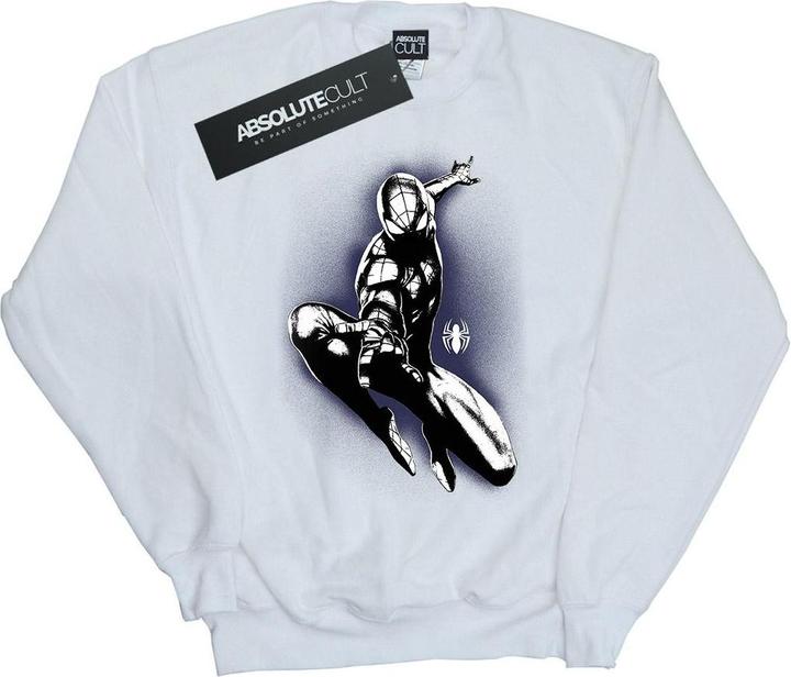 Actual product image Mens Spider-Man Jump Spray Sweatshirt (M)
