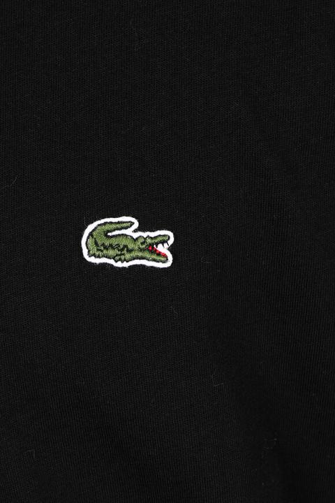 Immagine prodotto Lacoste t (M)