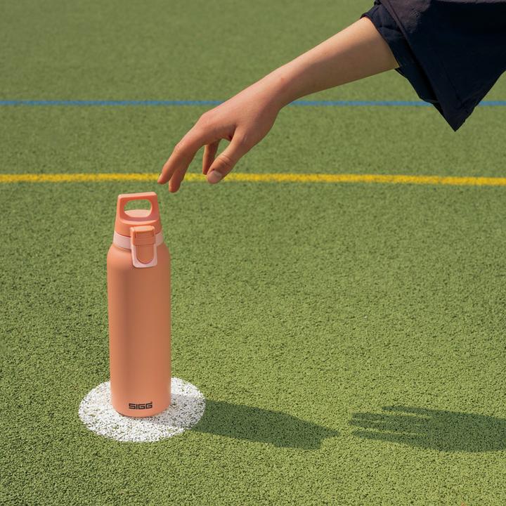 Immagine prodotto Sigg H&C ONE rosa chiaro Shy (0.55 l)