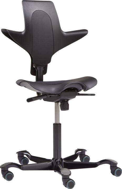 Produktbild HAG Capisco Puls