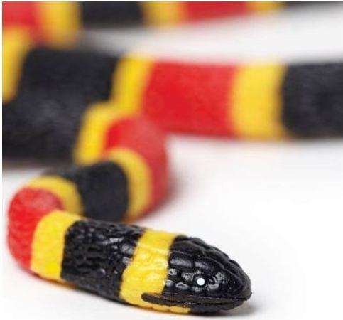 Actual product image Safari Coral snake baby