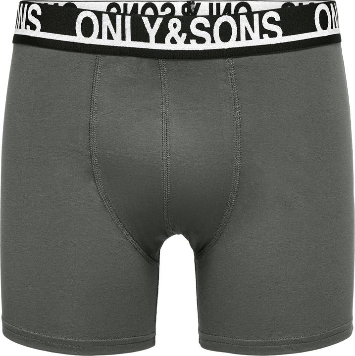 Castor Gray