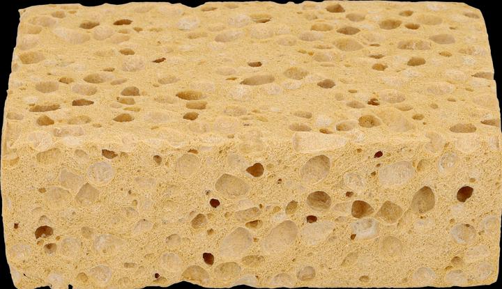 Actual product image Nigrin Viscose sponge