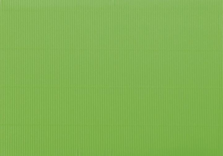 Clairefontaine corrugated paperboard (220 g/m², 50 x 70 cm, 10 x)