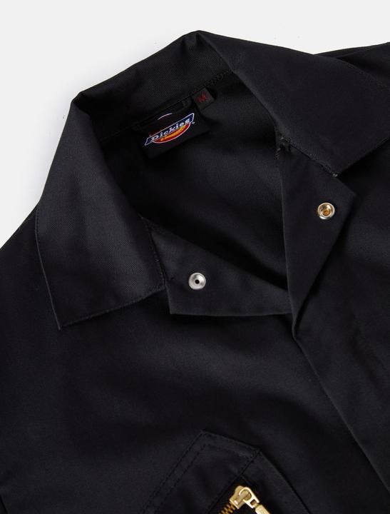 Immagine prodotto Dickies Tutti i giorni (L)