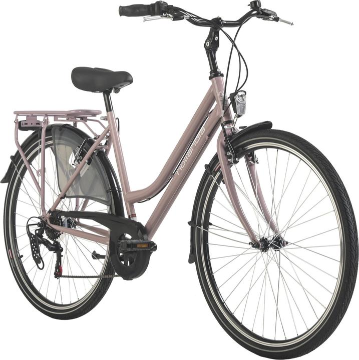Immagine prodotto Hollandia Bicicletta olandese da donna 28" City Next RH 50 cm 6 marce (50 cm)