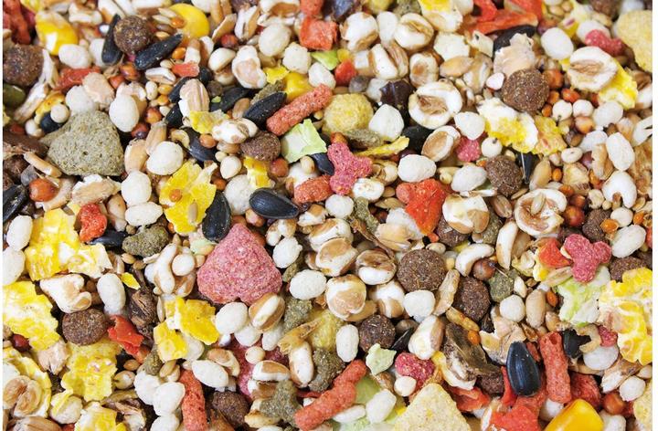 Produktbild JR Farm Hauptfutter Basic Ratten-Schmaus 2.5 kg (2.50 kg, 1 x)