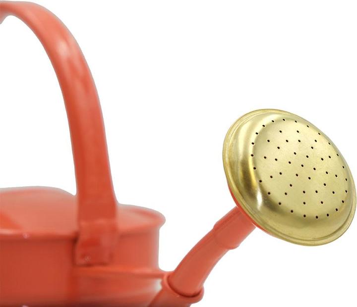Actual product image VEG and the City Watering can (10 l)