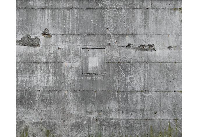 Immagine prodotto Rasch Fabbrica II Grigio calcestruzzo (372 x 300 cm)