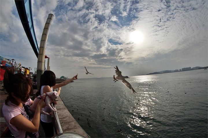 Image du produit Samyang 8mm f/2.8 II, Sony E (Sony E, APS-C / DX)