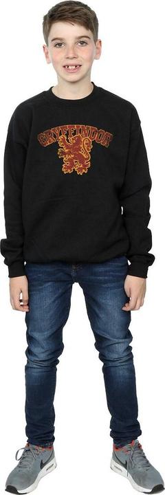 Produktbild Gryffindor Sport Emblem Sweatshirt Jungen (152, 158)
