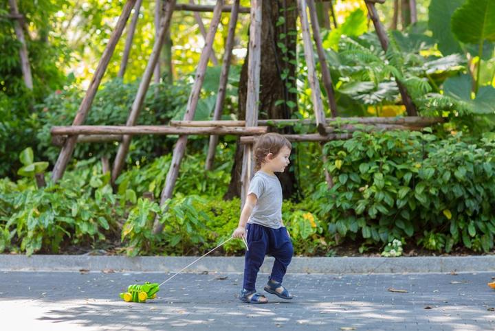 Produktbild Plantoys Tanzender Alligator